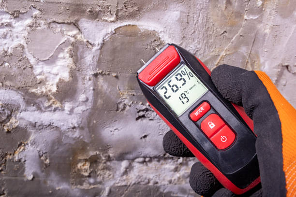 Best Local Mold Removal Service  in Palos Park, IL