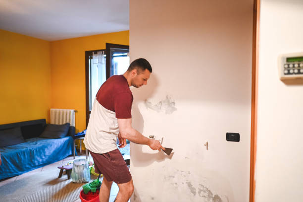 Best Mold Remediation  in Palos Park, IL